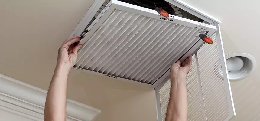 Our Insect Removal from Air Ducts Services in Superior, WI