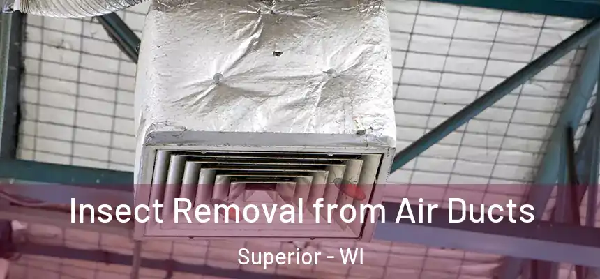 Insect Removal from Air Ducts Superior - WI