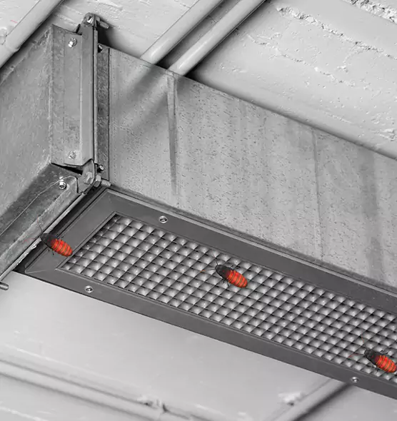 About Air Duct Cockroach Removal in Superior, WI