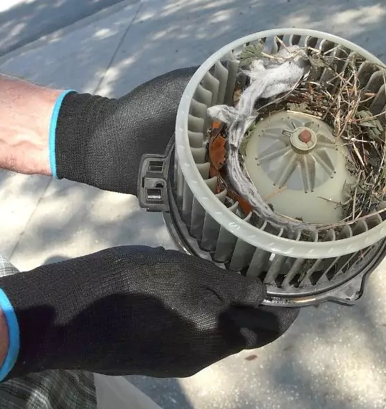 About Air Duct Rat Removal in Superior, WI